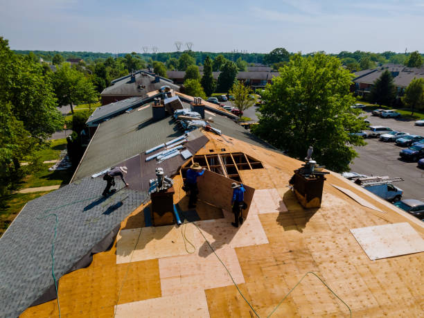 Best Roof Maintenance Services  in Meadow Oaks, FL