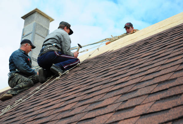 Best Roof Gutter Cleaning  in Meadow Oaks, FL